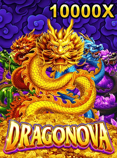 bigwin66
